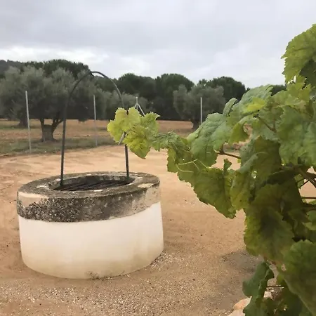 Holiday home Casita Rural Entre Olivos Biar