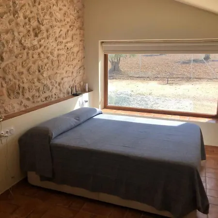 Casita Rural Entre Olivos * Biar