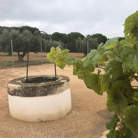 Casita Rural Entre Olivos Holiday home