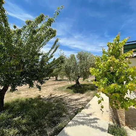 Holiday home Casita Rural Entre Olivos Biar